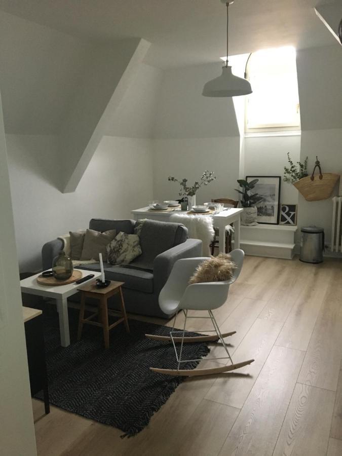 Les Chambres De Pauline Appartements Avec Climatisation Et Spa アルベールヴィル エクステリア 写真