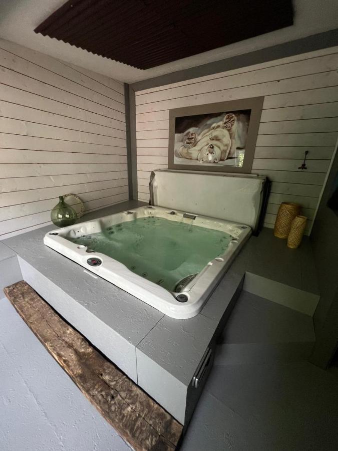 Les Chambres De Pauline Appartements Avec Climatisation Et Spa アルベールヴィル エクステリア 写真